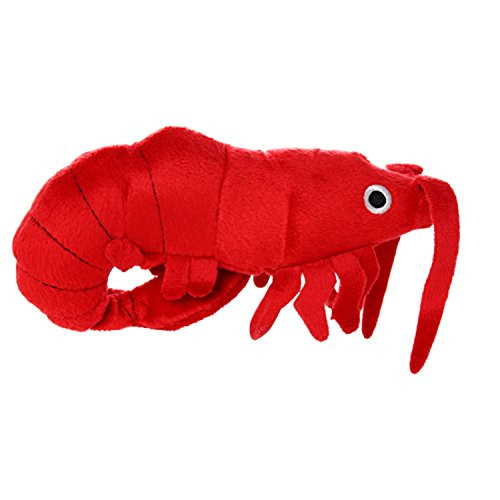 Mighty Jr Ocean Prawn
