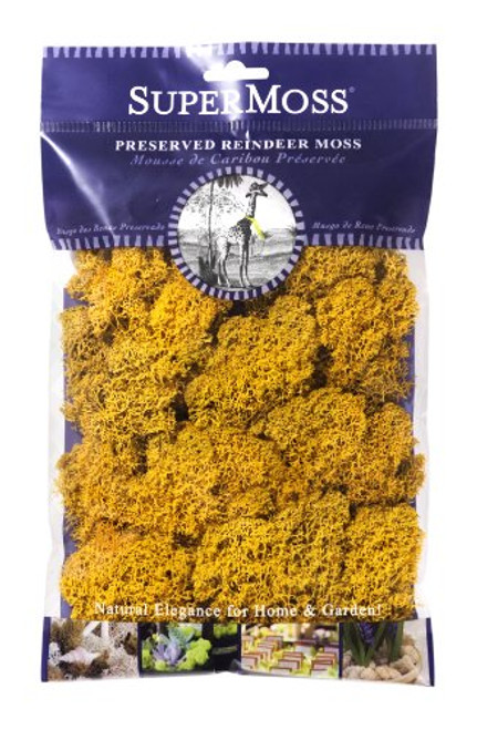 SuperMoss 25125 Reindeer Moss Preserved Mango 2oz