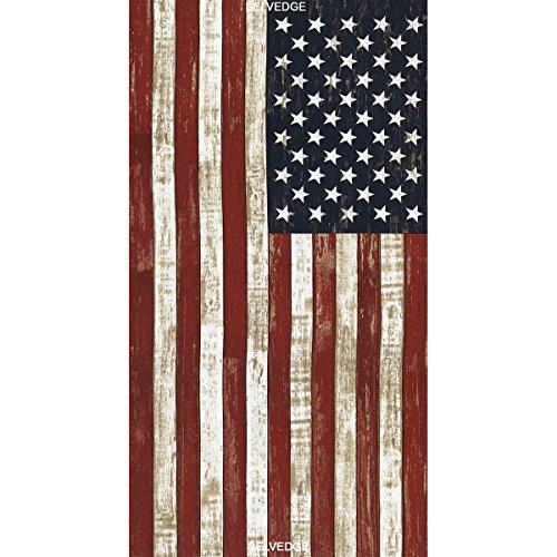 Timeless Treasures 0530324 Pride 23.5" American Panel Fabric, Multi, Flag