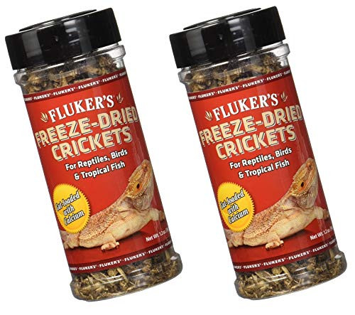 2 Pack Flukers 1_2-Ounce Freeze Dried Crickets
