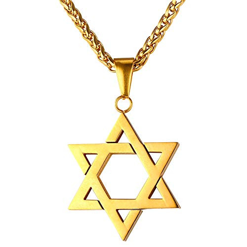 U7 18K Gold Plated Star of David Necklace with 3mm Twisted Chain 26 Inch Men Women Jewish Jewelry Isael Pendant