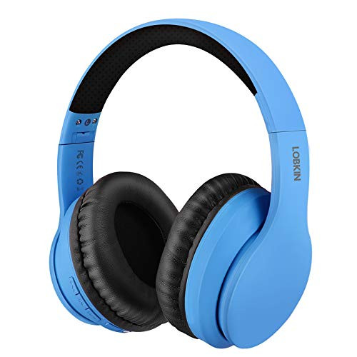 LOBKIN Bluetooth Headphones Over Ear Stereo Wireless Headset with Microphone Foldable Wireless and Wired Headphones with TF Card MP3 Mode and FM Radio for iPhoneSamsungiPadPC