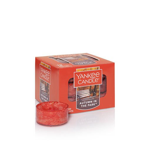 Yankee Candle Autumn in The Park Tea Light Candle, Fresh Scent