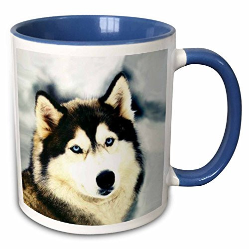 3dRose mug_517_6 Staring Siberian Husky, Blue, 11 oz