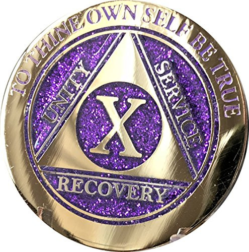 10 Year Elegant Glitter Purple Gold Silver Bi-Plated AA Medallion Chip