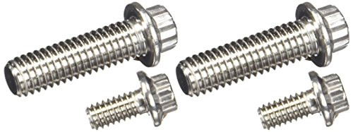 ARP 430-1601 Stainless 300 12-Point Fuel Pump Bolt Kit