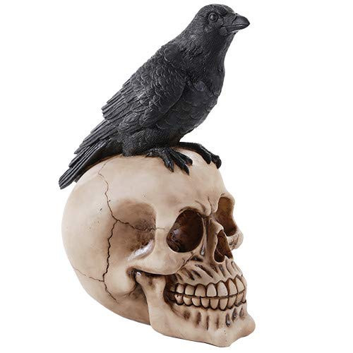 Pacific Giftware Perched Raven On Skull Poe Raven Figurine Halloween Home Decor Gift Pacific Giftware Perched Raven On Skull Poe Raven Figurine Halloween Home Decor Gift