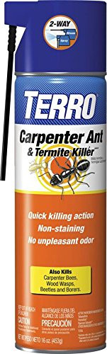 TERRO 16 oz_ Carpenter Ant  and  Termite Killer Aerosol Spray