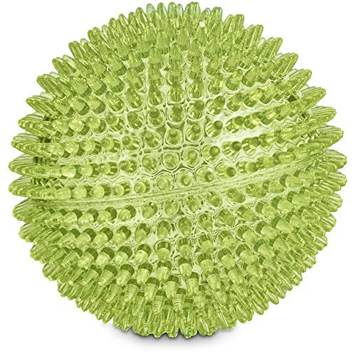Leaps  and  Bounds Romp and Run Spiny Ball Dog Toy in Assorted Colors Medium