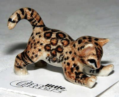 Little Critterz "Simba" Bengal