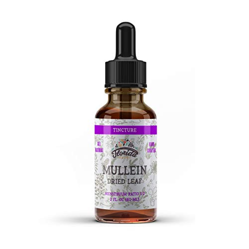 Mullein Tincture Extract Organic Mullein Verbascum densiflorum Dried Leaf Herbal Supplement in Cold-Pressed Vegetable Glycerin 670 mg