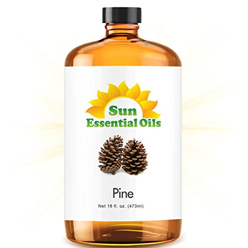 Pine Essential Oil Huge 16oz Bottle Bulk Pine Oil - 16 Ounce