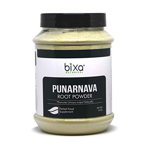 Punarnava Powder Boerhavia diffusa1 Pound 16 Oz Ideal Diuretic Useful in Ascites and as Emmenagogue Natural Herbal Supplement to Increases Digestion and Haemoglobin Levels Punarnava Powder Boerhavia diffusa1 Pound 16 Oz Ideal Diuretic Useful in Ascites and as Emmenagogue Natural Herbal Supplement to Increases Digestion and Haemoglobin Levels