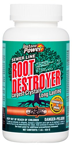 Scotch 1885 LB Root Destroyer
