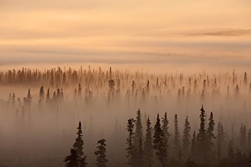 Posterazzi DPI2163253 Sunrise Over A Foggy Forest Katmai National Park And Preserve Southwest Alaska Autum Poster Print 19 x 12