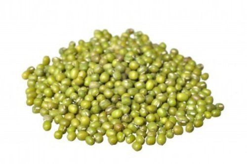Sprouting Seeds Mung Bean 5 Pounds - Todds Seeds Misc_