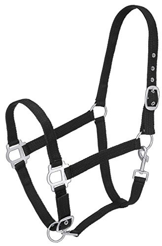 Tough 1 Nylon Halter with Satin Hardware, Black, Horse