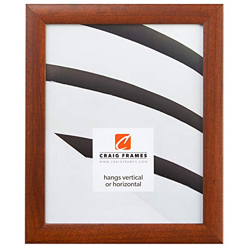 Craig Frames Contemporary Picture Frame 9 x 12 Inch Walnut Brown