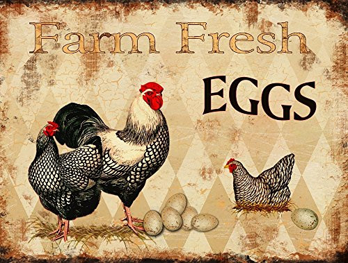 Barnyard Designs Farm Fresh Eggs Retro Vintage Tin Bar Sign Country Home Decor 13" x 10"