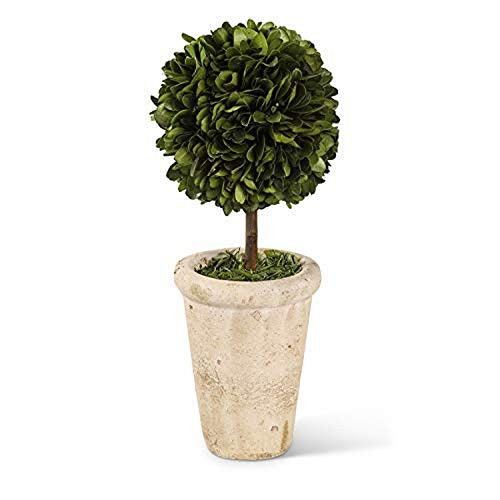 K and K Interiors 9 Inch Preserved Boxwood Mini Topiary in Pot Green