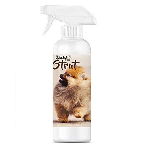 The Blissful Dog Strut Dog Cologne 16 oz_