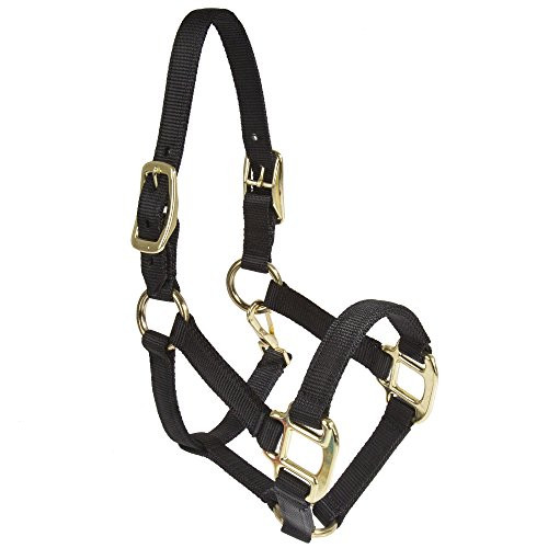 Intrepid International Nylon Miniature Horse Halter Black Large