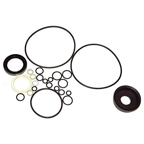 RCPW E-46 E-47 E-57 Main Ram Seal Kit Replaces Meyer 15254 and Meyer 15254SP