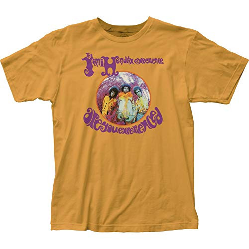Jimi Hendrix are You Experienced? Fitted Jersey tee 2XL