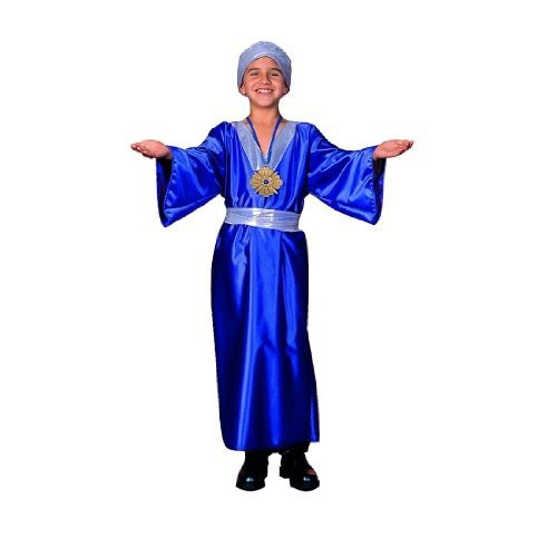 RG Costumes Kids Wiseman Costume Large Blue