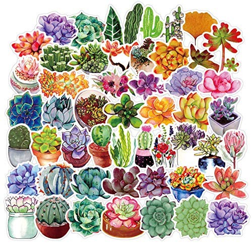 50pcs Honch Succulent Stickers Pack Vinyl Waterproof Decals for Laptop Bumper Helmet Ipad Car Luggage Water Bottle Stickers