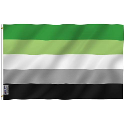 Anley Fly Breeze 3x5 Feet Aromantic Pride Flag - Vivid Color and Fade Proof - Canvas Header and Double Stitched - Aromantic Pride Flag Polyester with Brass Grommets 3 X 5 Ft