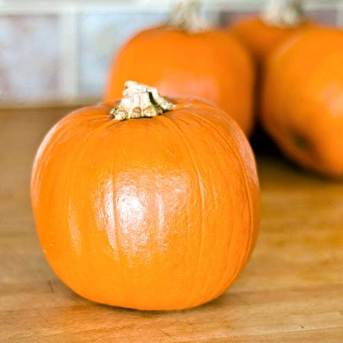 Pumpkin Pie Pumpkin Seeds 20 Heirloom Seeds Per Packet Non GMO Seeds
