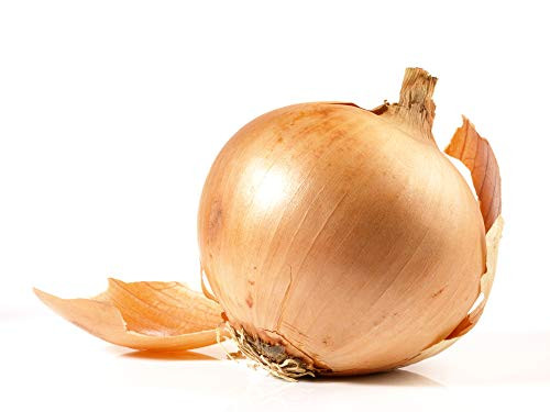 Walla Walla Sweet Spanish Onion Seeds 300 Seeds Per Packet Non GMO Seeds