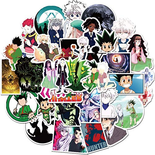 50 Pcs Hunter X Hunter Anime Stickers Vinyl Waterproof Hydro Flasks Laptop Decal Stickers Ideal Gift for Teens Kids Adults