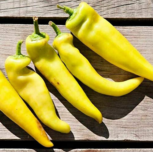 100 Yellow Hot Pepper Seeds Vegetable Seed for Planting Home Gardens Non-GMO