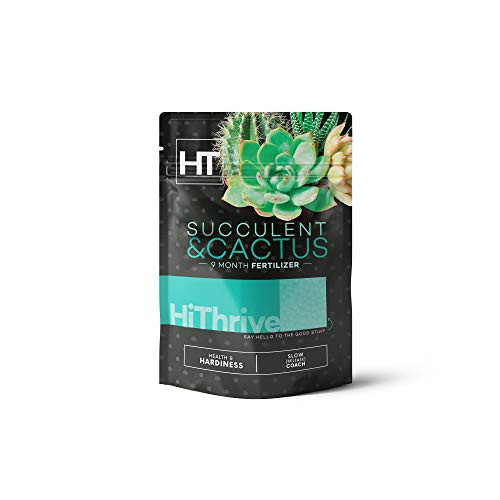 Succulents and Cactus Fertilizer - Single Application Feeds up to 9 Months at a Time Best Liquid Alternative Plant Food for All Succulent Cacti and Aloe Vera Plants in Pots 5 oz Succulents and Cactus Fertilizer - Single Application Feeds up to 9 Months at a Time Best Liquid Alternative Plant Food for All Succulent Cacti and Aloe Vera Plants in Pots 5 oz