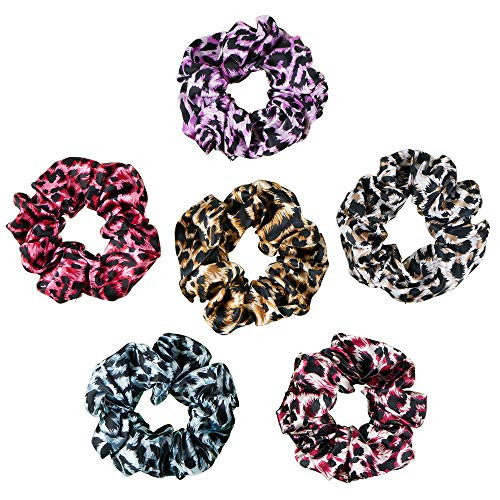 Hair Silk Scrunchies Satin Elastic Hair Bands Velvet Scrunchy Chiffon Hair Ties Ropes Scrunchie for Women Girls Hair Accessories Leopard 2-6PCS Hair Silk Scrunchies Satin Elastic Hair Bands Velvet Scrunchy Chiffon Hair Ties Ropes Scrunchie for Women Girls Hair Accessories Leopard 2-6PCS