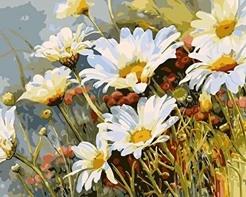 Paint by Numbers for Adults Beginner on Canvas DIY Oil Painting for Adults Kids Paint by Number Kit 16x20inch Paint by Numbers for Adults Beginner on Canvas DIY Oil Painting for Adults Kids Paint by Number Kit 16x20inch