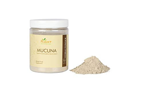 Mucuna Pruriens Powder KapikacchuVelvet Bean - Strengthens Nervine System Helps to Alleviate Mood and Performance Helps to Improves Dopamine and Muscles by Right Botanical 200g7 Oz Mucuna Pruriens Powder KapikacchuVelvet Bean - Strengthens Nervine System Helps to Alleviate Mood and Performance Helps to Improves Dopamine and Muscles by Right Botanical 200g7 Oz