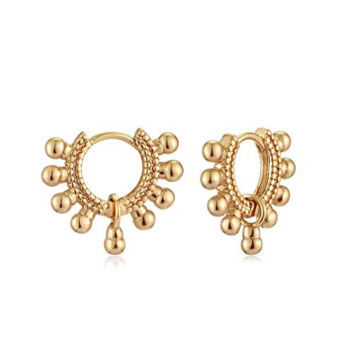 LADYGD Women Dainty Small Hoop Earrings 14K Gold Plated Drop Hoops Earrings Cute Huggie Hoops Ear Stud Hypoallergenic