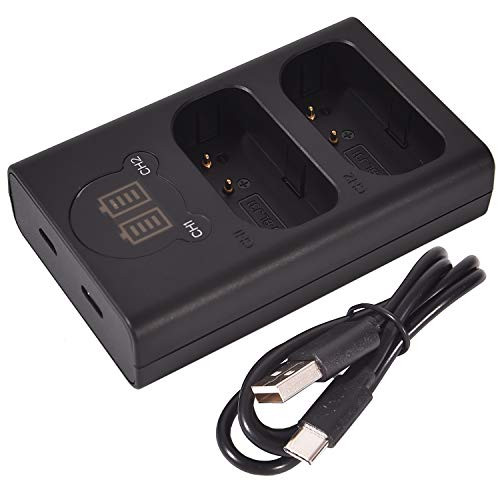 DSTE Replacement for DMW-BLJ31 Dual LCD Battery Charger Compatible Panasonic Lumix S1 Lumix S1R Lumix S1H Compatible Panasonic DMW-BGS1R as DMW-BLJ31e DMW-BTC14 with Type-C and Micro-USB Port DSTE Replacement for DMW-BLJ31 Dual LCD Battery Charger Compatible Panasonic Lumix S1 Lumix S1R Lumix S1H Compatible Panasonic DMW-BGS1R as DMW-BLJ31e DMW-BTC14 with Type-C and Micro-USB Port