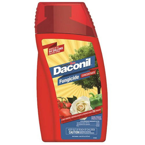 Daconil Fungicide Concentrate 16 oz.
