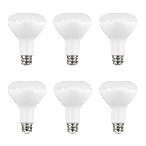 EcoSmart 65W Equivalent Day Light BR30 Dimmable LED Light Bulb (6-Pack)