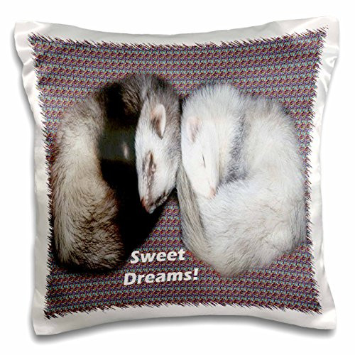 3dRose Sleeping Ferrets - Pillow Case, 16 by 16-inch (pc_17286_1)