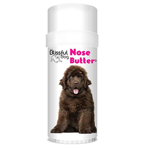 The Blissful Dog Bronze Newfoundland Nose Butter 2OZ