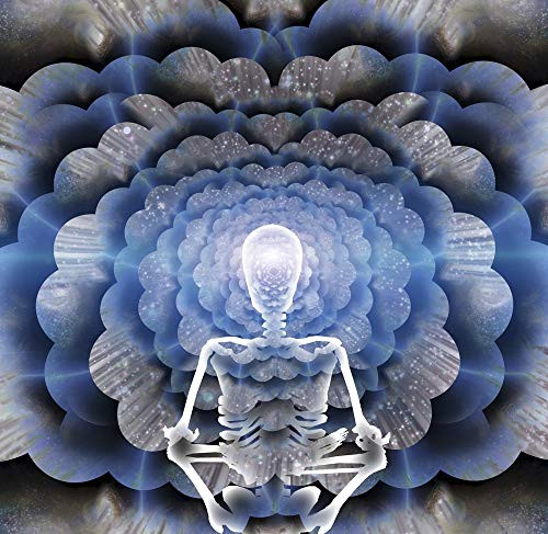 Posterazzi PSTRFF200056S Skeleton in Lotus Position Sits Before Endless Spaces Photo Print 11 x 17 Multi