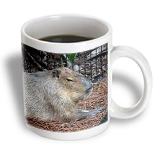 3dRose 215957_1 Two Bluebirds Building A Nest On A Floral Watercolor Wreath Mug 11 oz