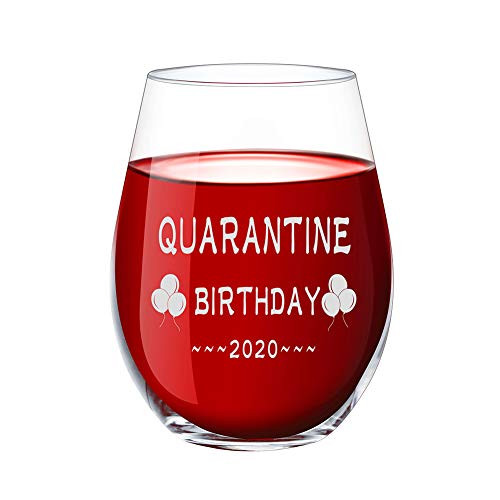 SDHSGSB Stemless Wine Glass Quarantine Birthday 2020 Fun Funny Gift Laser Etched Wine Glass 15 oz Funny Gifts Party Accessories for Women Man Friend