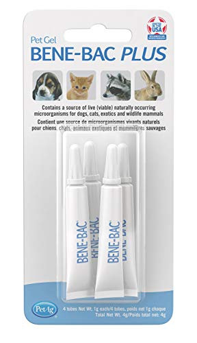 PetAg Bene-Bac Plus Pet Gel FOS Prebiotic and Probiotic 4 Count 3 Pack