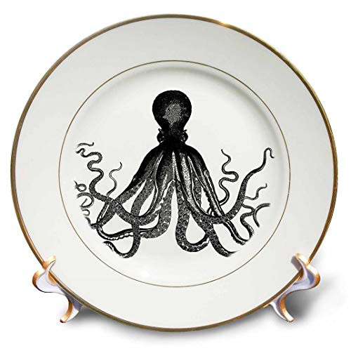 3dRose cp_195682_1 Octopus Porcelain Plate, 8"